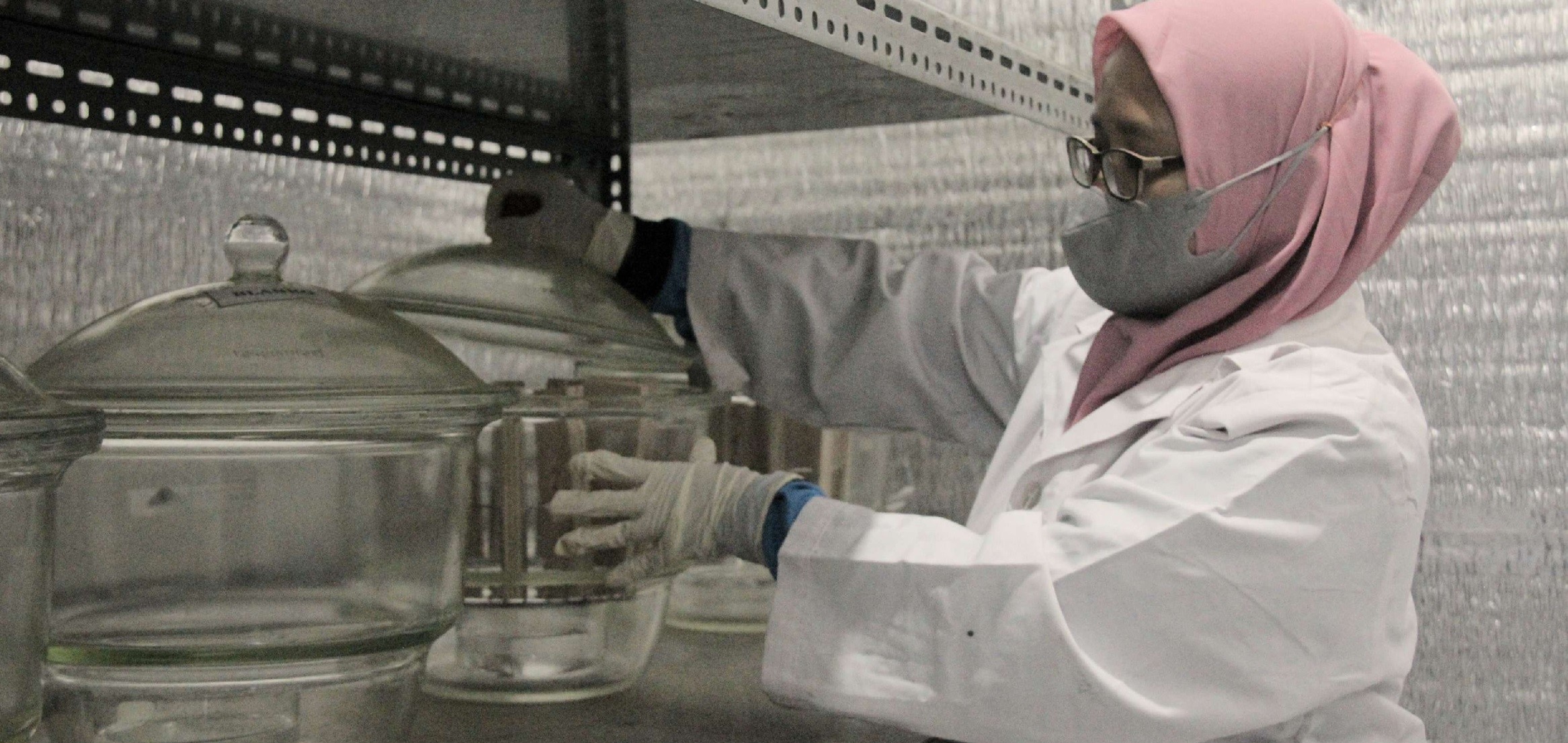 Lab